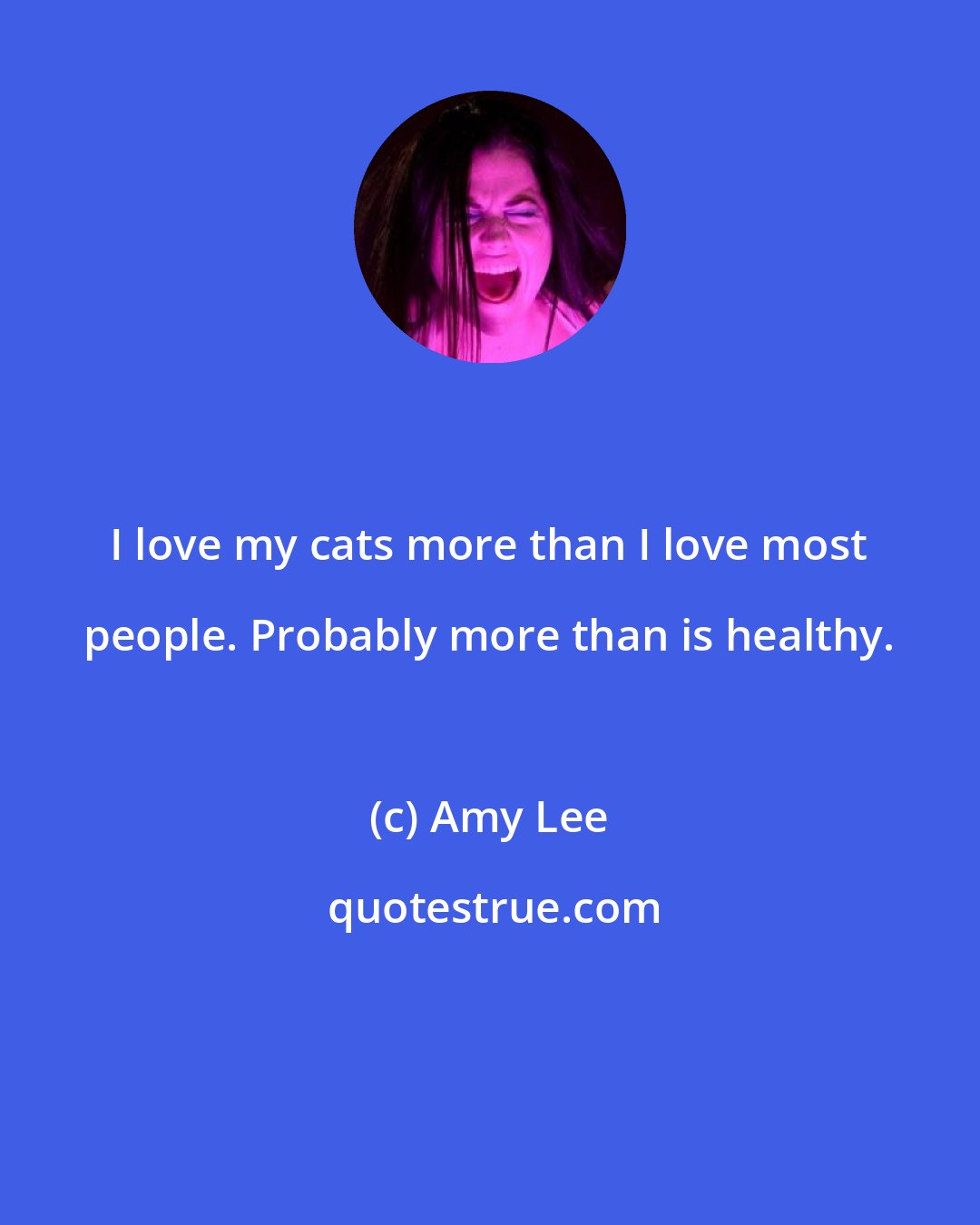 Amy Lee: I love my cats more than I love most people. Probably more than is healthy.