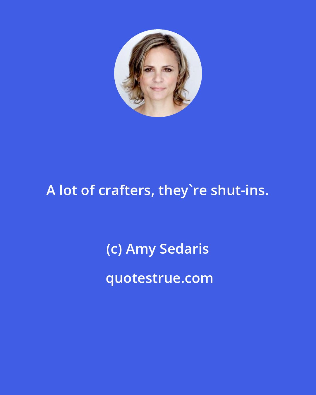 Amy Sedaris: A lot of crafters, they're shut-ins.