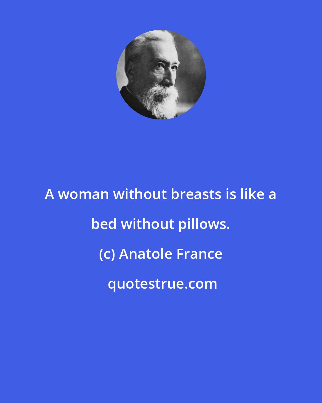 Anatole France: A woman without breasts is like a bed without pillows.