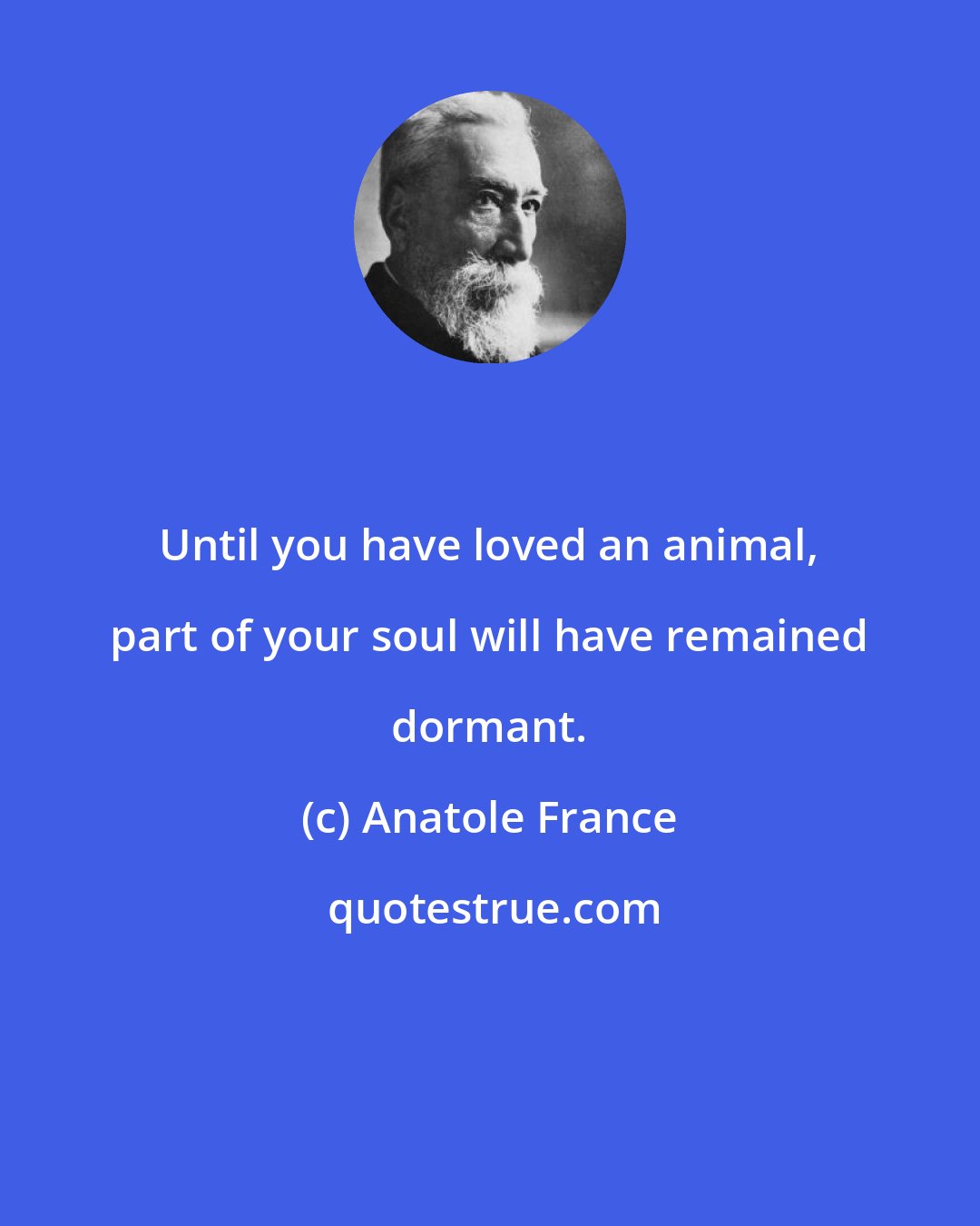 Anatole France: Until you have loved an animal, part of your soul will have remained dormant.