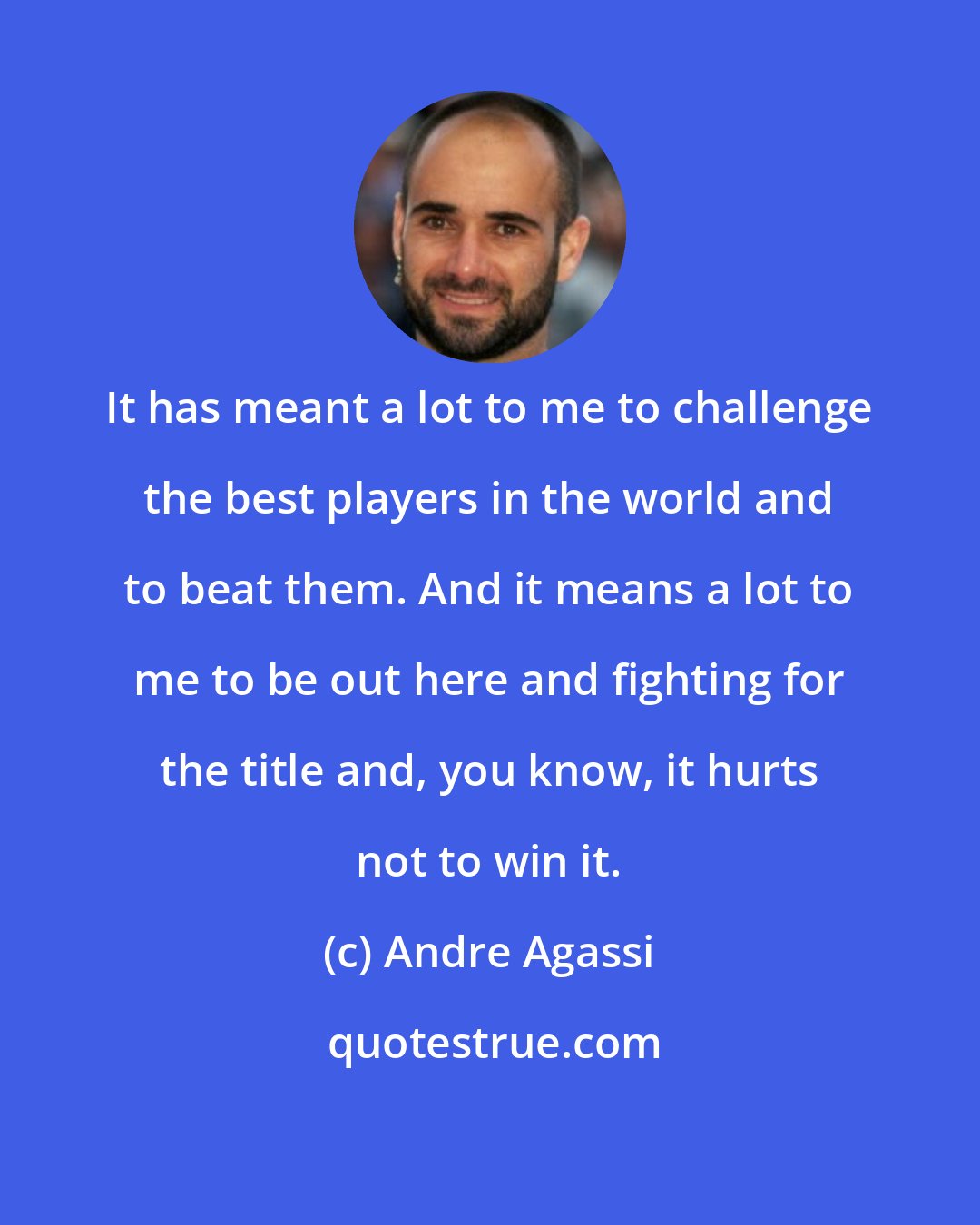 Andre Agassi: It has meant a lot to me to challenge the best players in the world and to beat them. And it means a lot to me to be out here and fighting for the title and, you know, it hurts not to win it.