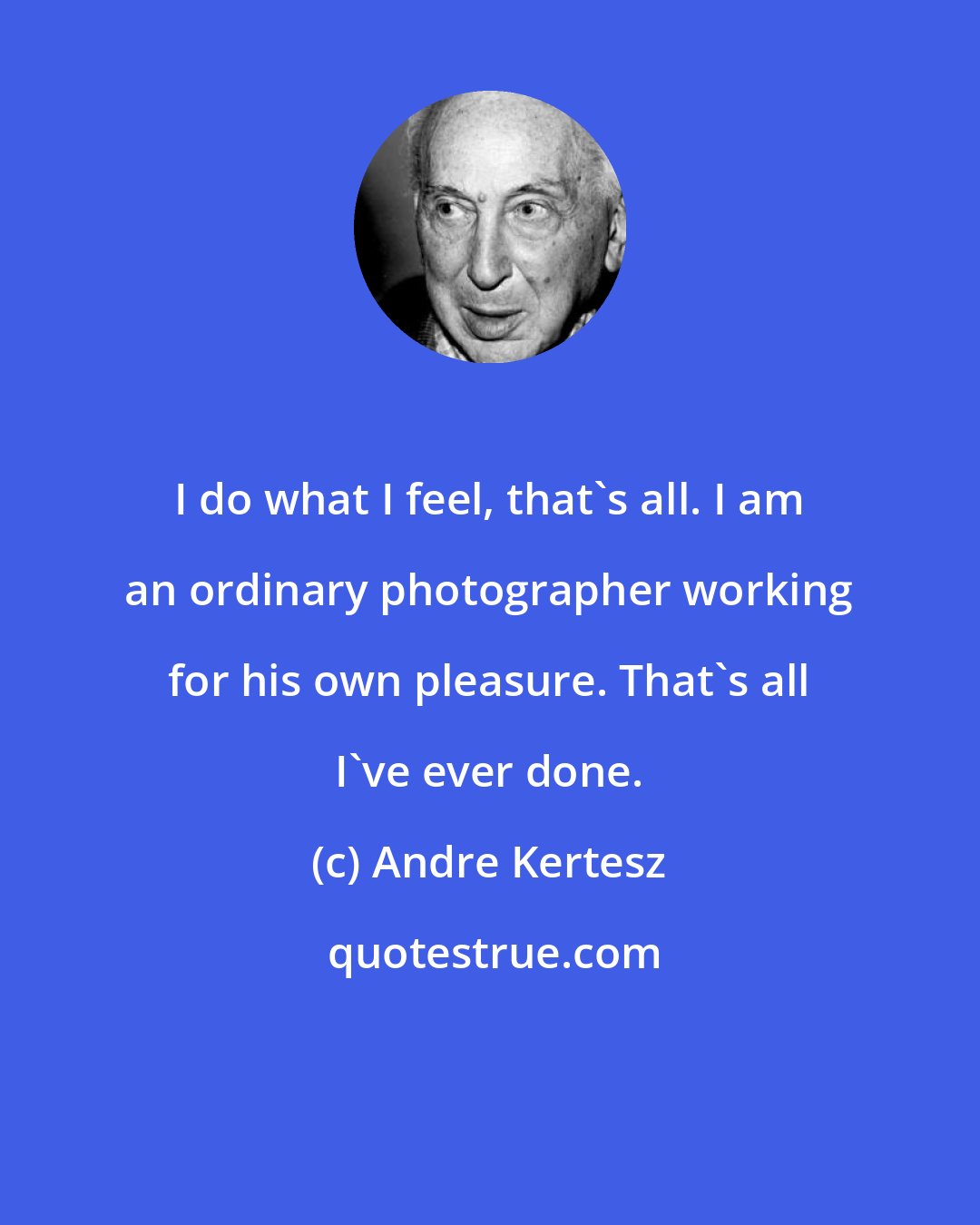 Andre Kertesz: I do what I feel, that's all. I am an ordinary photographer working for his own pleasure. That's all I've ever done.