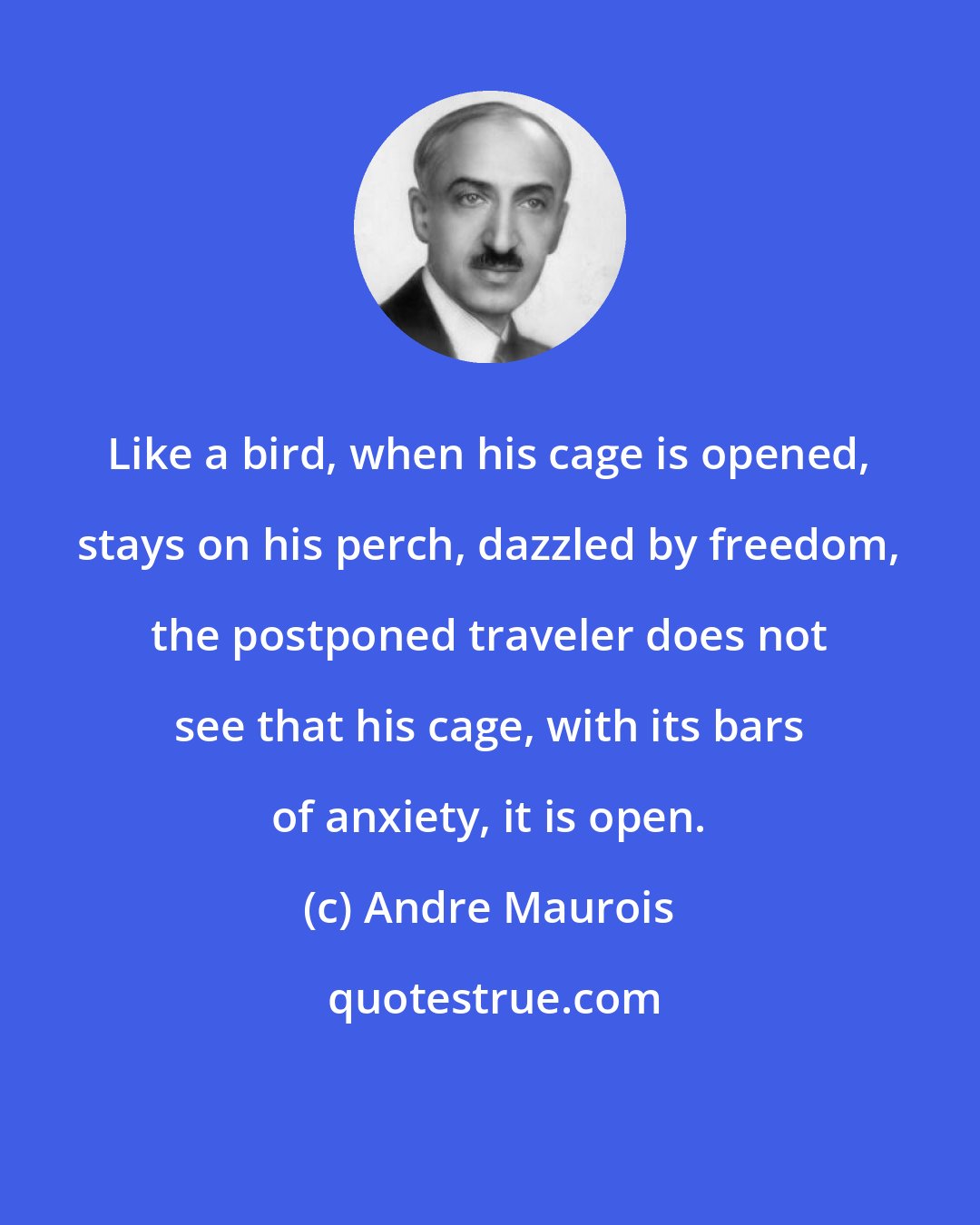 Andre Maurois: Like a bird, when his cage is opened, stays on his perch, dazzled by freedom, the postponed traveler does not see that his cage, with its bars of anxiety, it is open.