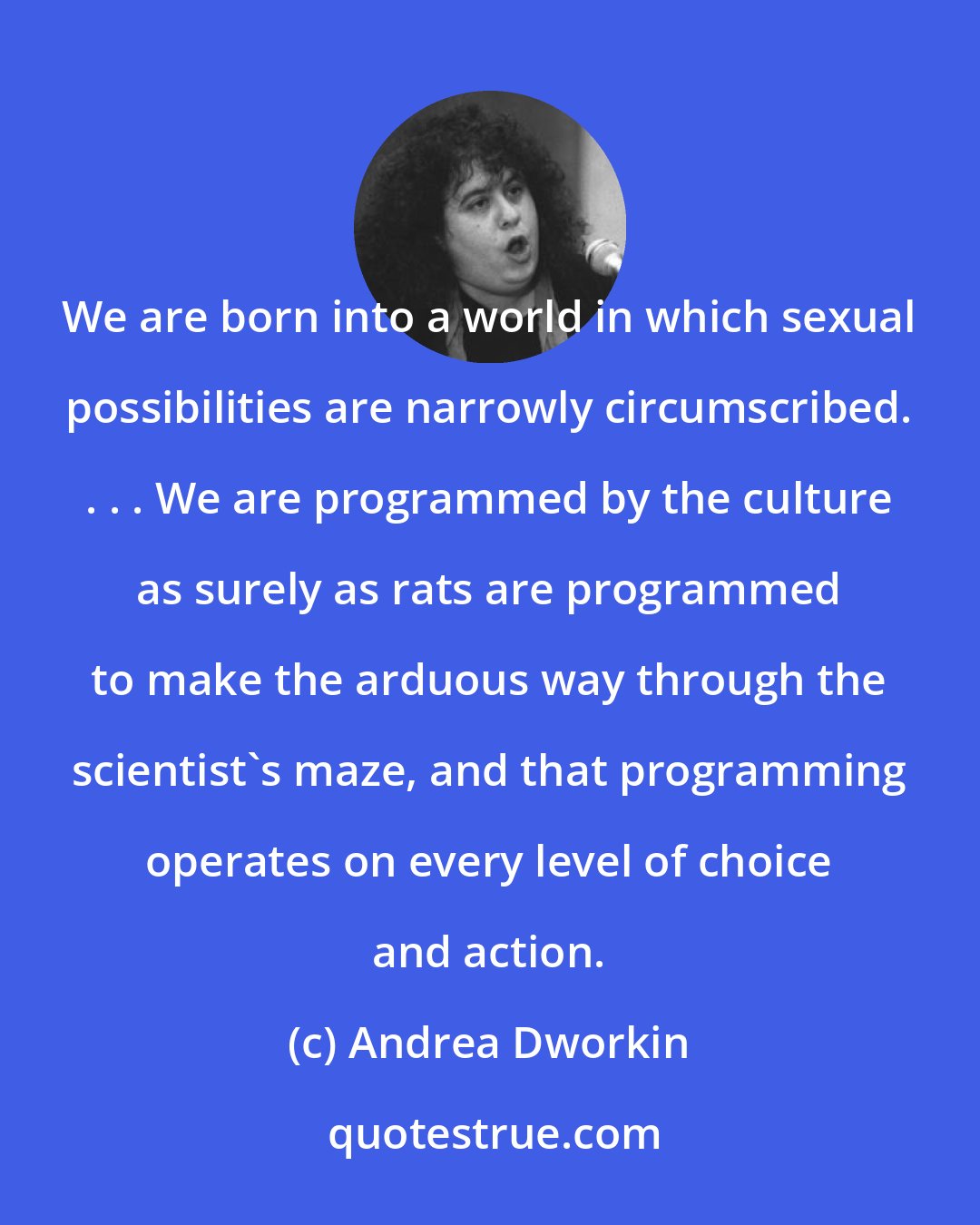 Andrea Dworkin: We are born into a world in which sexual possibilities are narrowly circumscribed. . . . We are programmed by the culture as surely as rats are programmed to make the arduous way through the scientist's maze, and that programming operates on every level of choice and action.