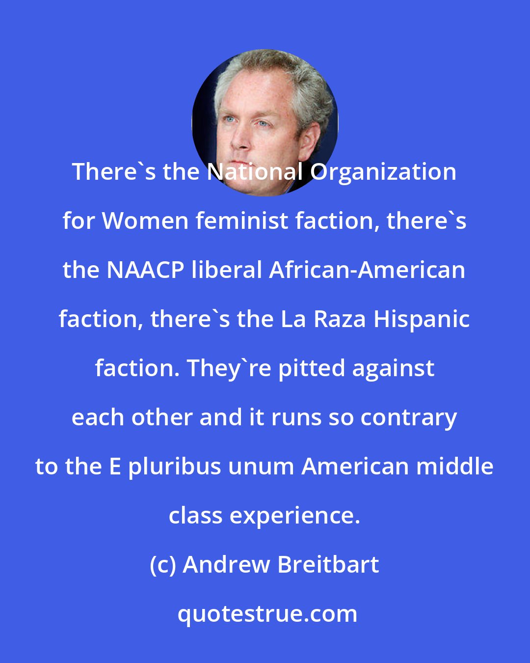 Andrew Breitbart: There's the National Organization for Women feminist faction, there's the NAACP liberal African-American faction, there's the La Raza Hispanic faction. They're pitted against each other and it runs so contrary to the E pluribus unum American middle class experience.