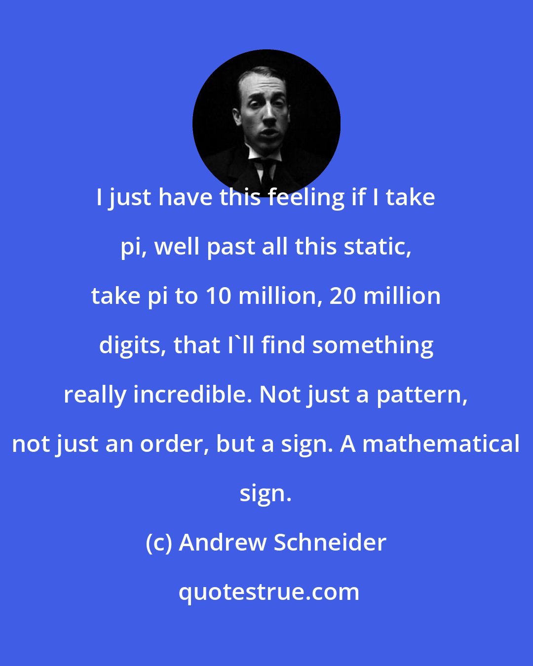 Andrew Schneider: I just have this feeling if I take pi, well past all this static, take pi to 10 million, 20 million digits, that I'll find something really incredible. Not just a pattern, not just an order, but a sign. A mathematical sign.