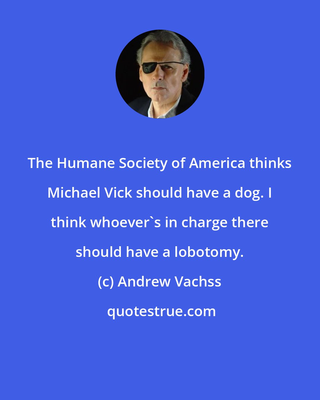 Andrew Vachss: The Humane Society of America thinks Michael Vick should have a dog. I think whoever's in charge there should have a lobotomy.