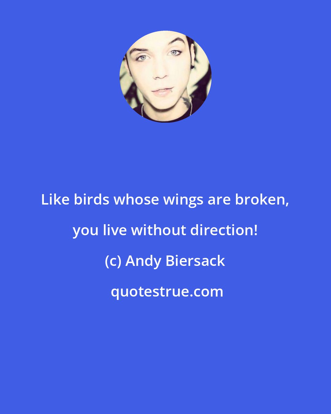 Andy Biersack: Like birds whose wings are broken, you live without direction!