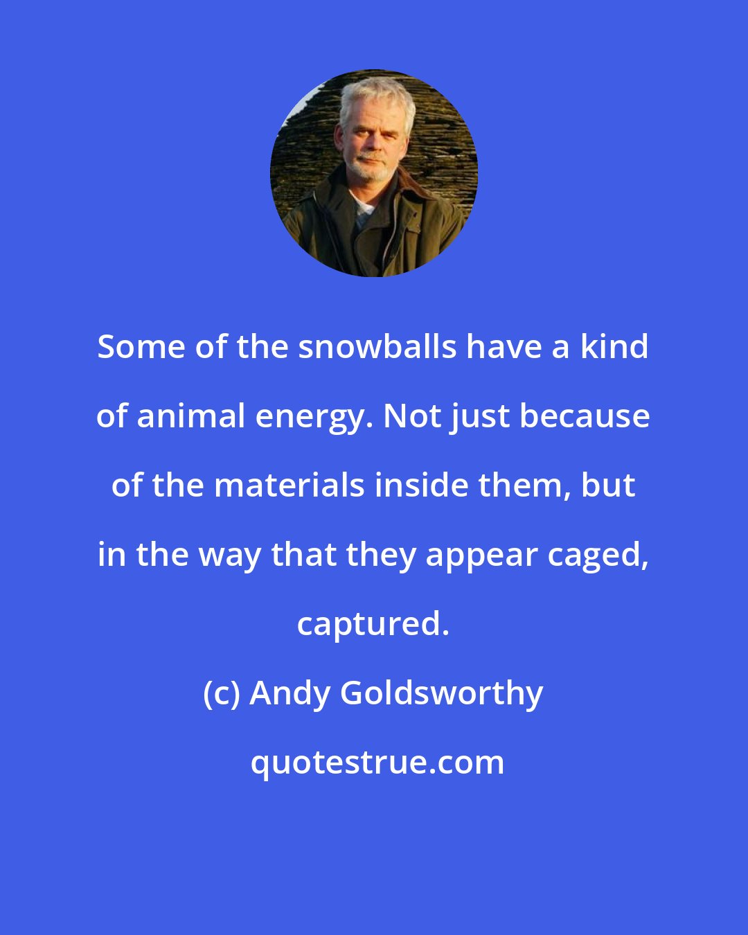 Andy Goldsworthy: Some of the snowballs have a kind of animal energy. Not just because of the materials inside them, but in the way that they appear caged, captured.