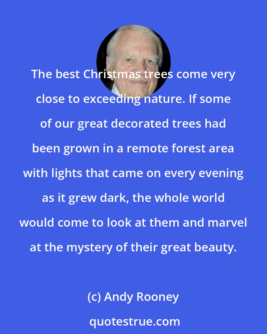 Andy Rooney: The best Christmas trees come very close to exceeding nature. If some of our great decorated trees had been grown in a remote forest area with lights that came on every evening as it grew dark, the whole world would come to look at them and marvel at the mystery of their great beauty.