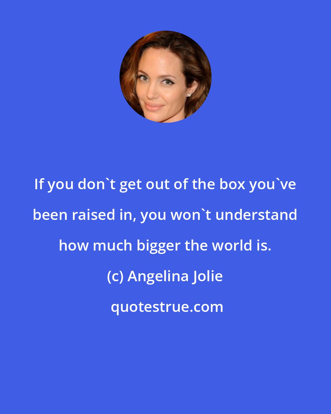 Angelina Jolie: If you don't get out of the box you've been raised in, you won't understand how much bigger the world is.