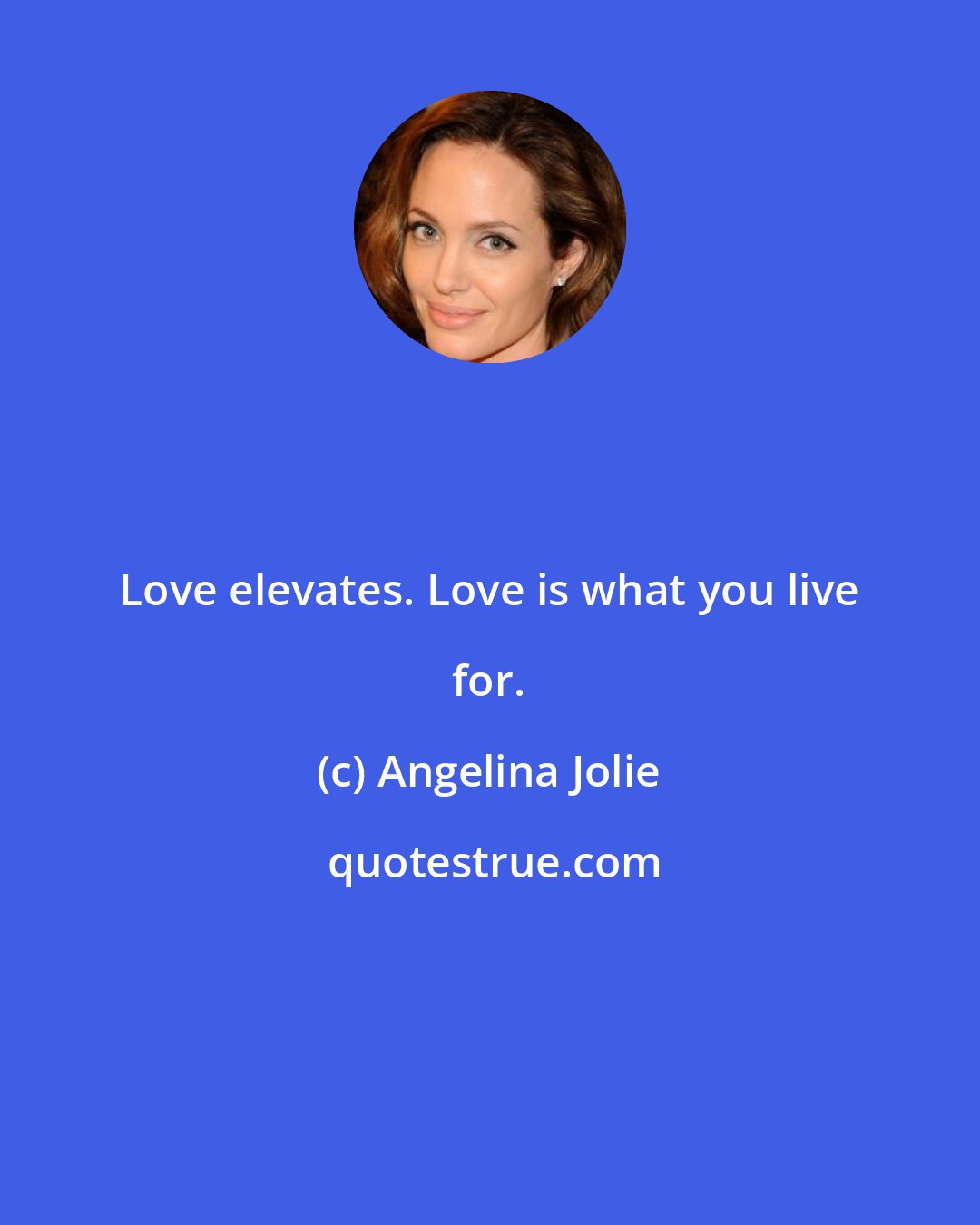 Angelina Jolie: Love elevates. Love is what you live for.