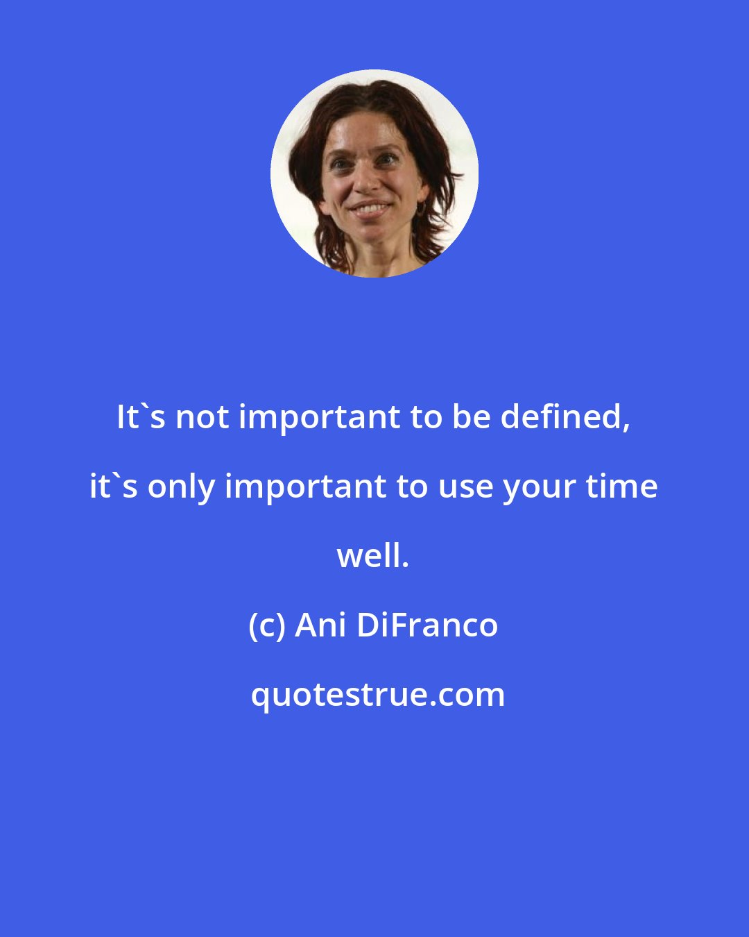 Ani DiFranco: It's not important to be defined, it's only important to use your time well.