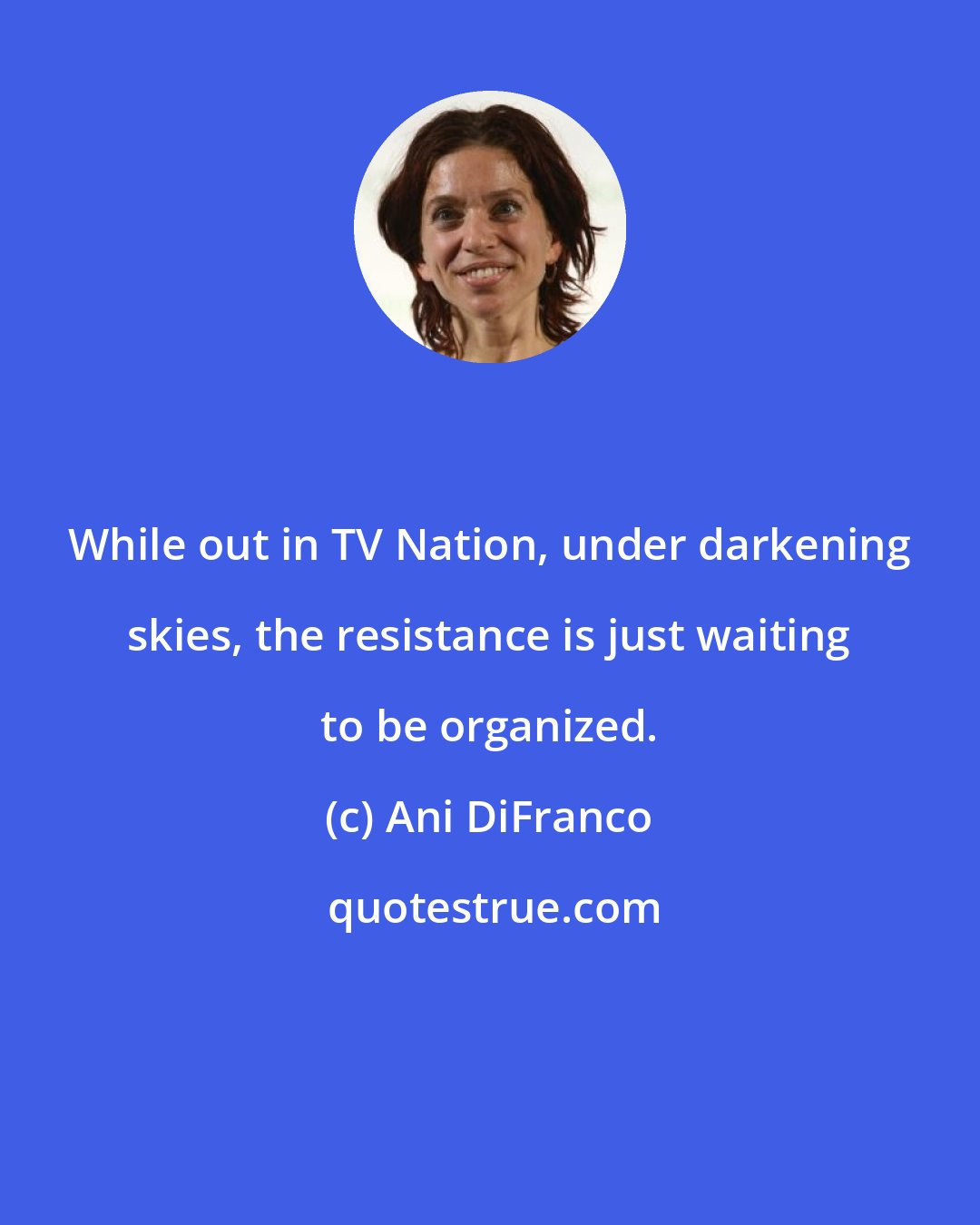 Ani DiFranco: While out in TV Nation, under darkening skies, the resistance is just waiting to be organized.