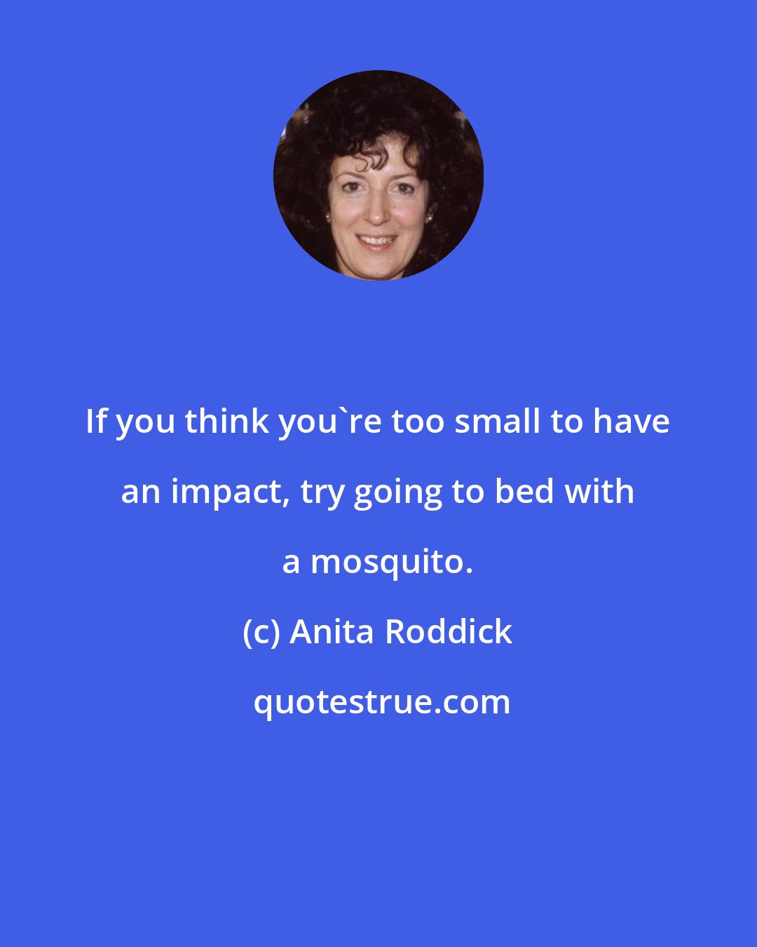 Anita Roddick: If you think you're too small to have an impact, try going to bed with a mosquito.