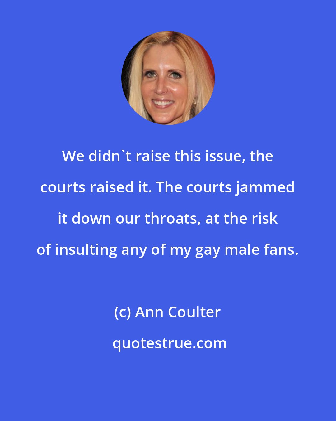 Ann Coulter: We didn't raise this issue, the courts raised it. The courts jammed it down our throats, at the risk of insulting any of my gay male fans.