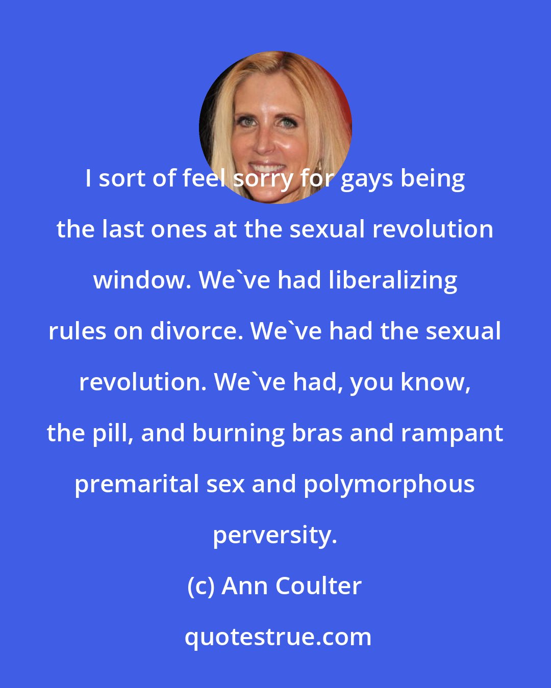 Ann Coulter: I sort of feel sorry for gays being the last ones at the sexual revolution window. We've had liberalizing rules on divorce. We've had the sexual revolution. We've had, you know, the pill, and burning bras and rampant premarital sex and polymorphous perversity.