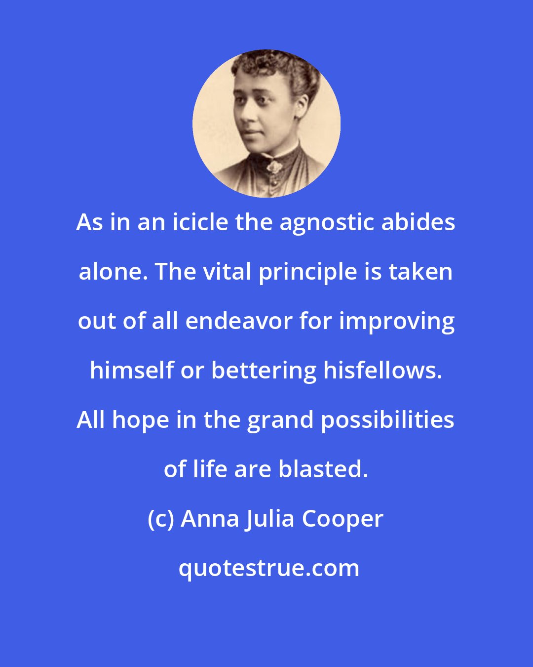 Anna Julia Cooper: As in an icicle the agnostic abides alone. The vital principle is taken out of all endeavor for improving himself or bettering hisfellows. All hope in the grand possibilities of life are blasted.