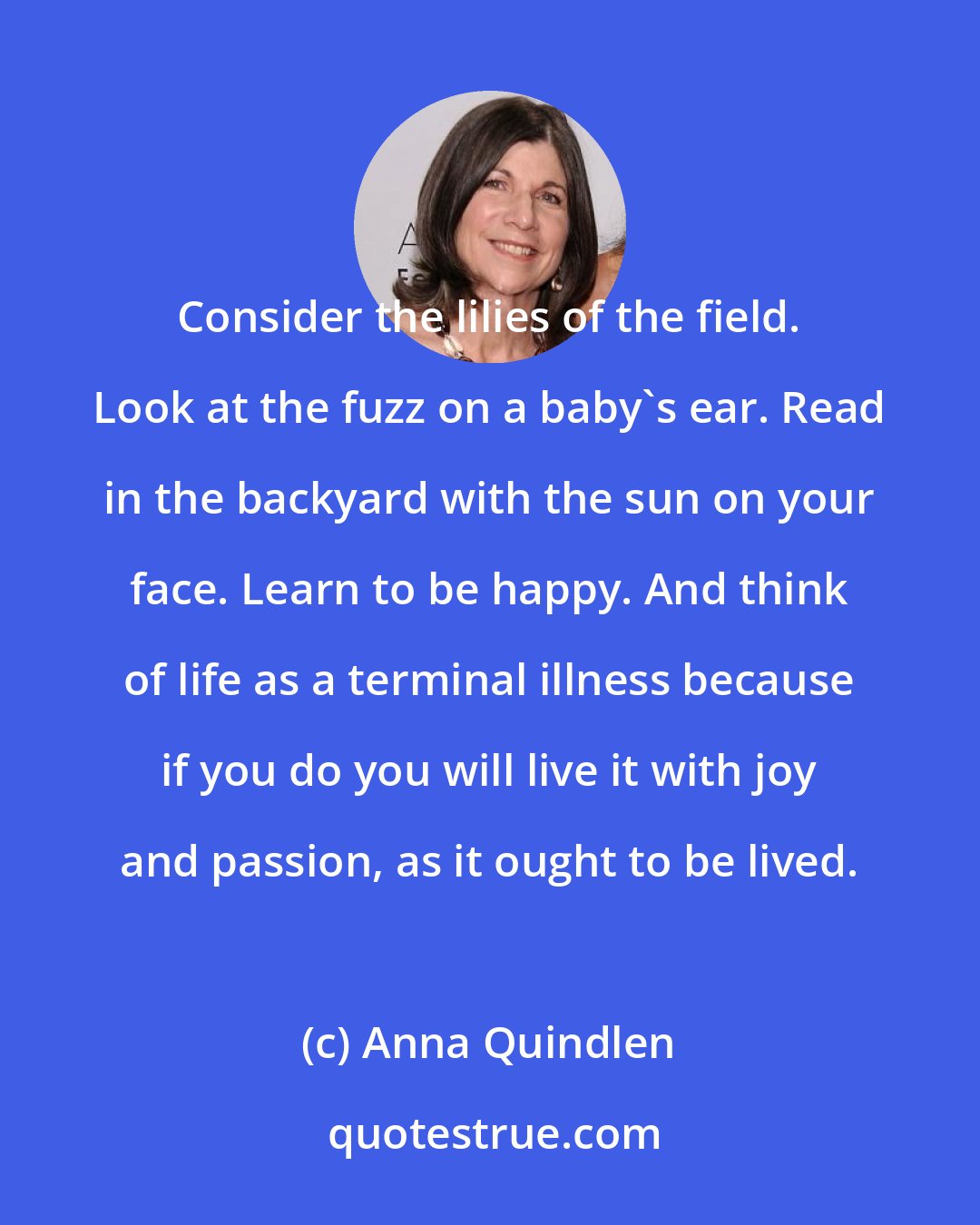 Anna Quindlen: Consider the lilies of the field. Look at the fuzz on a baby's ear. Read in the backyard with the sun on your face. Learn to be happy. And think of life as a terminal illness because if you do you will live it with joy and passion, as it ought to be lived.