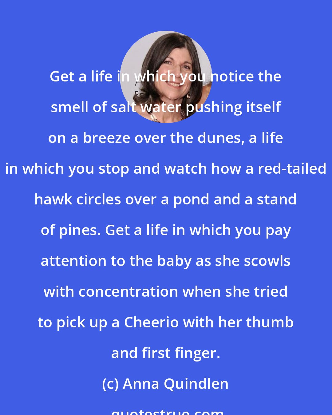 Anna Quindlen: Get a life in which you notice the smell of salt water pushing itself on a breeze over the dunes, a life in which you stop and watch how a red-tailed hawk circles over a pond and a stand of pines. Get a life in which you pay attention to the baby as she scowls with concentration when she tried to pick up a Cheerio with her thumb and first finger.