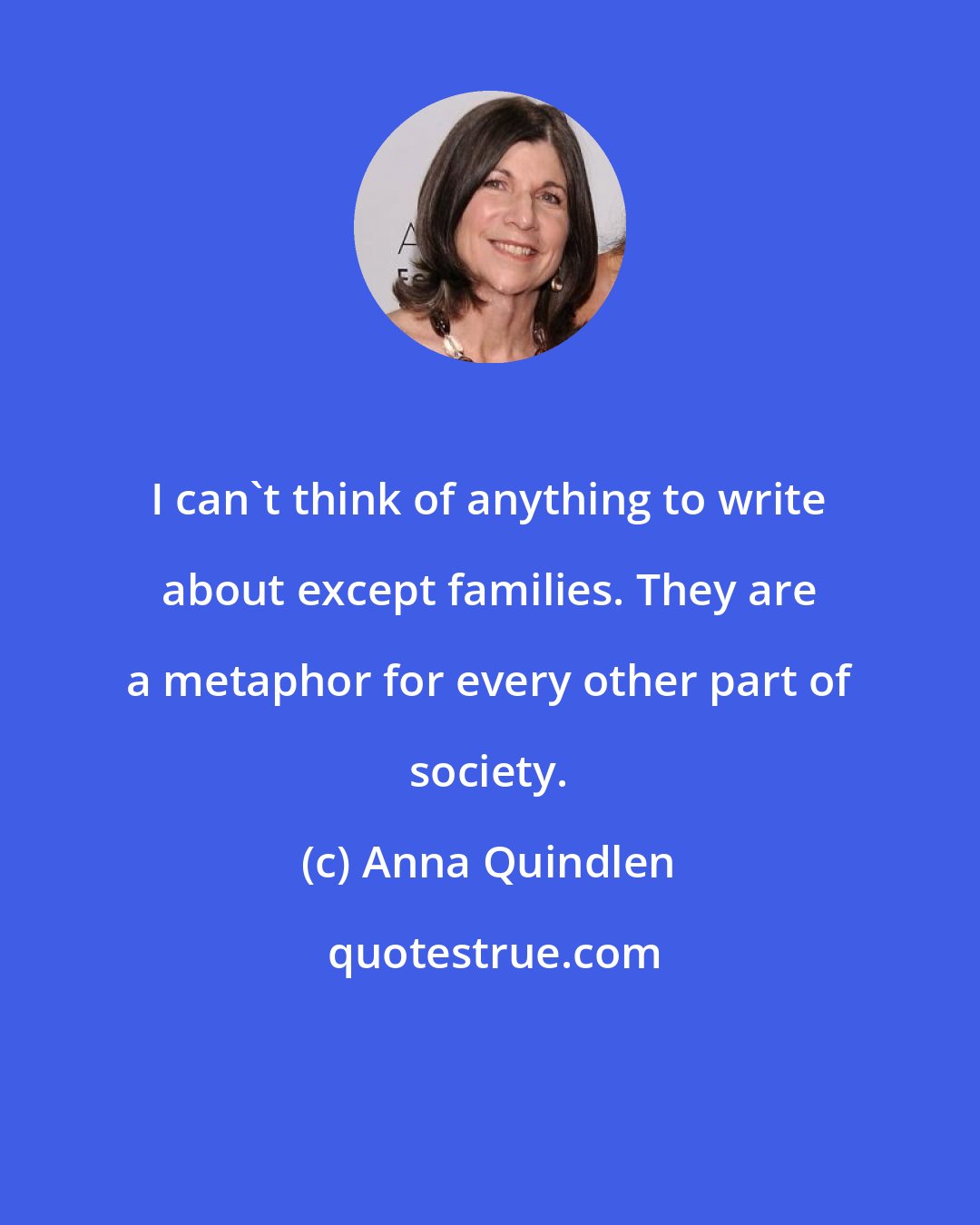 Anna Quindlen: I can't think of anything to write about except families. They are a metaphor for every other part of society.