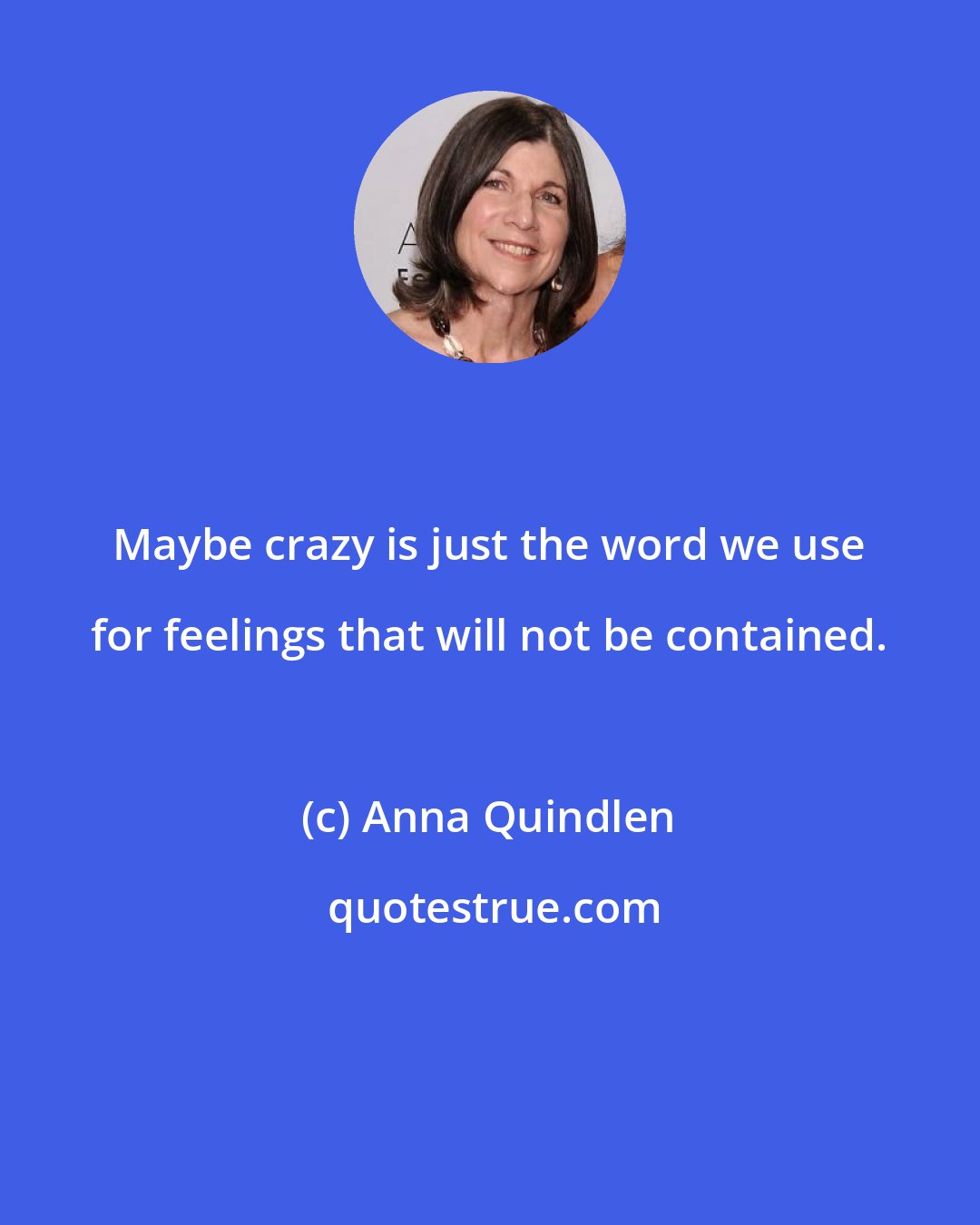 Anna Quindlen: Maybe crazy is just the word we use for feelings that will not be contained.