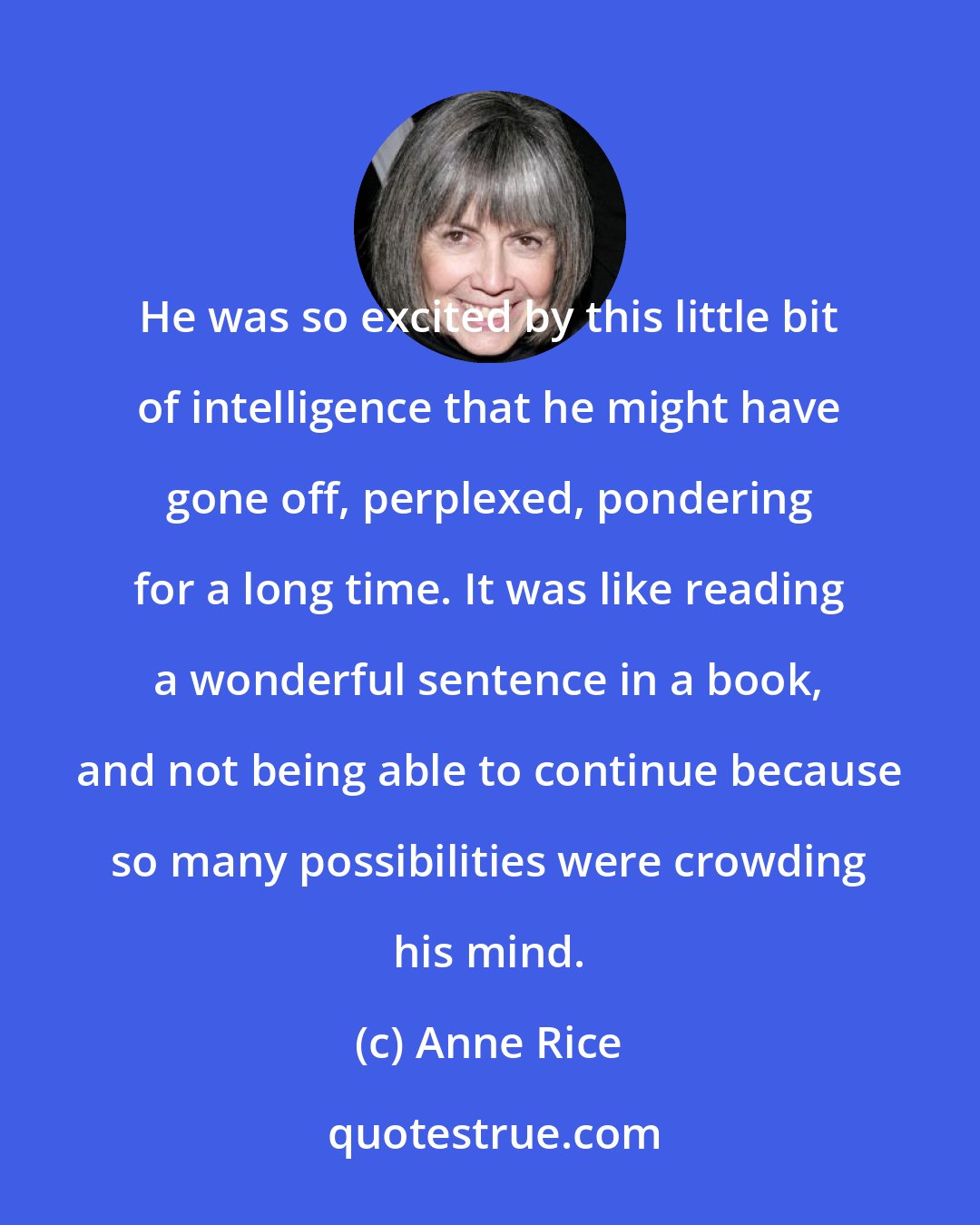 Anne Rice: He was so excited by this little bit of intelligence that he might have gone off, perplexed, pondering for a long time. It was like reading a wonderful sentence in a book, and not being able to continue because so many possibilities were crowding his mind.