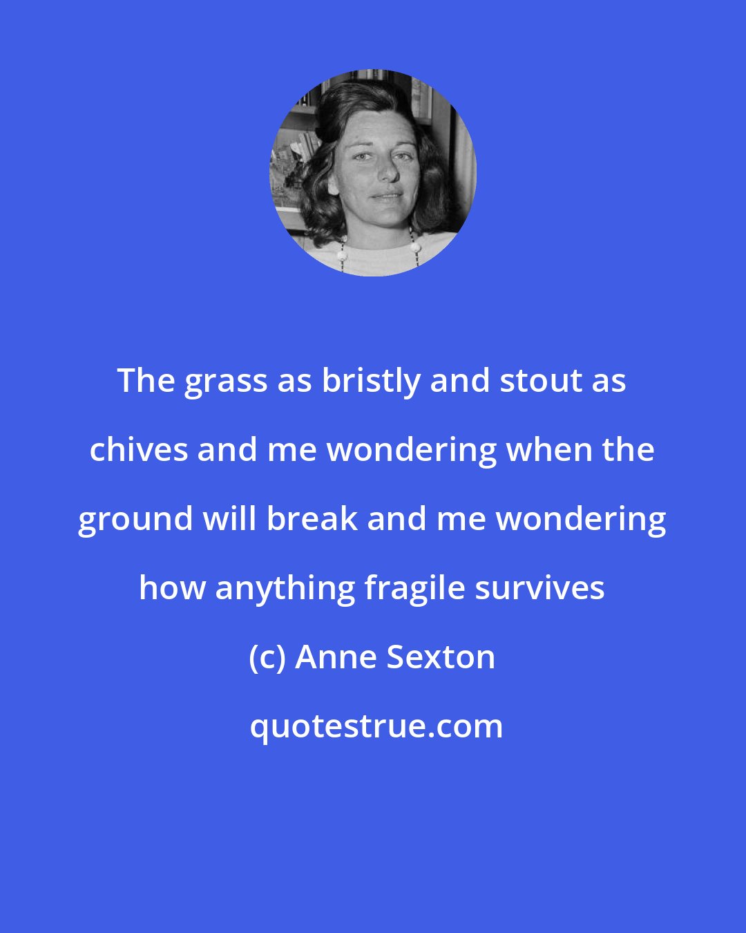 Anne Sexton: The grass as bristly and stout as chives and me wondering when the ground will break and me wondering how anything fragile survives
