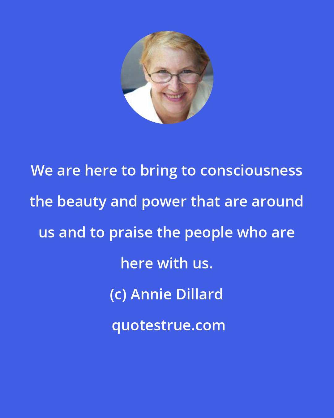 Annie Dillard: We are here to bring to consciousness the beauty and power that are around us and to praise the people who are here with us.