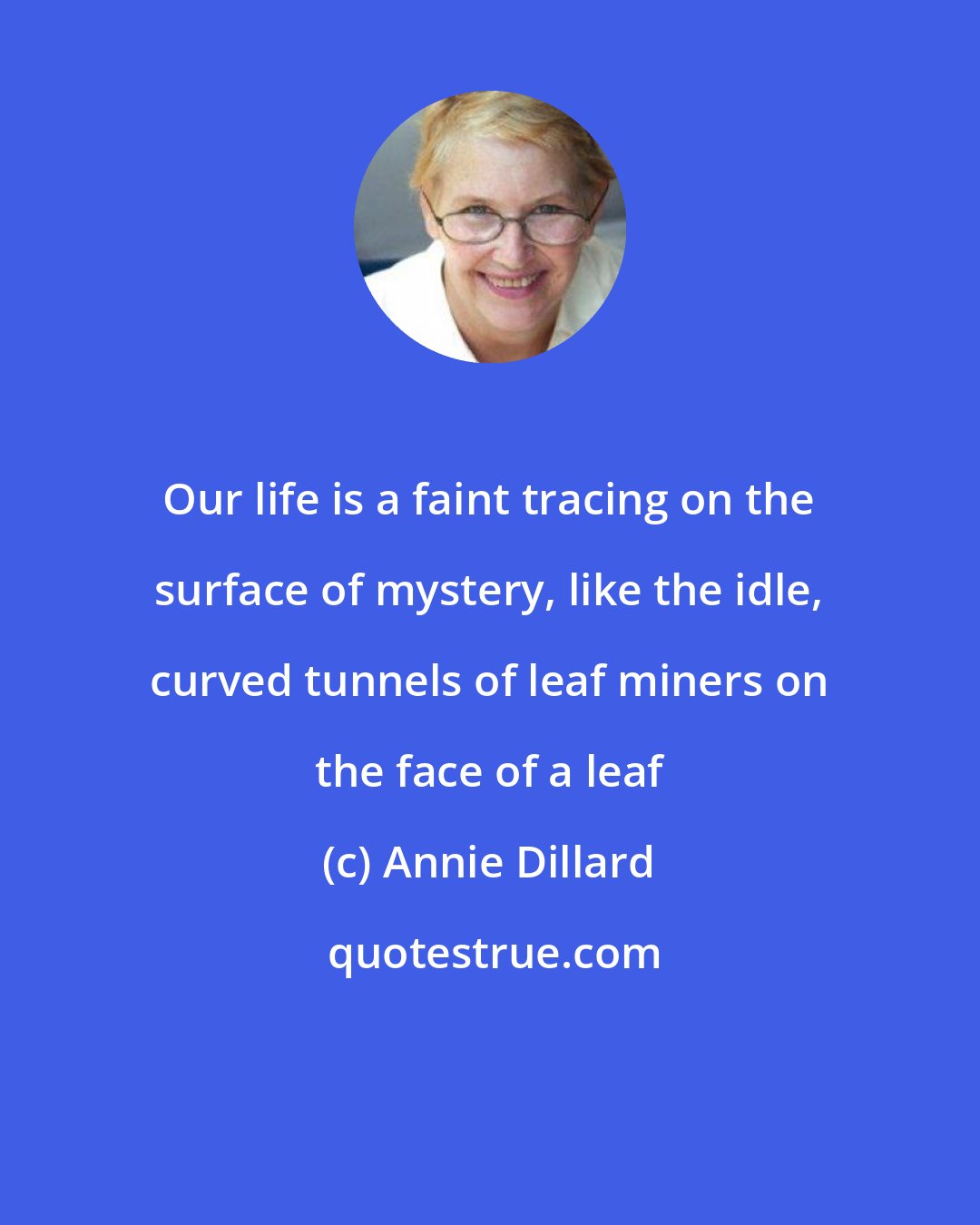 Annie Dillard: Our life is a faint tracing on the surface of mystery, like the idle, curved tunnels of leaf miners on the face of a leaf