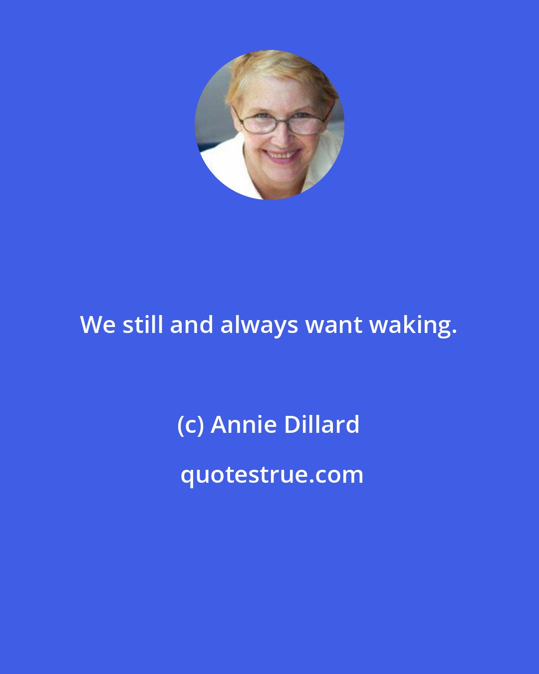 Annie Dillard: We still and always want waking.