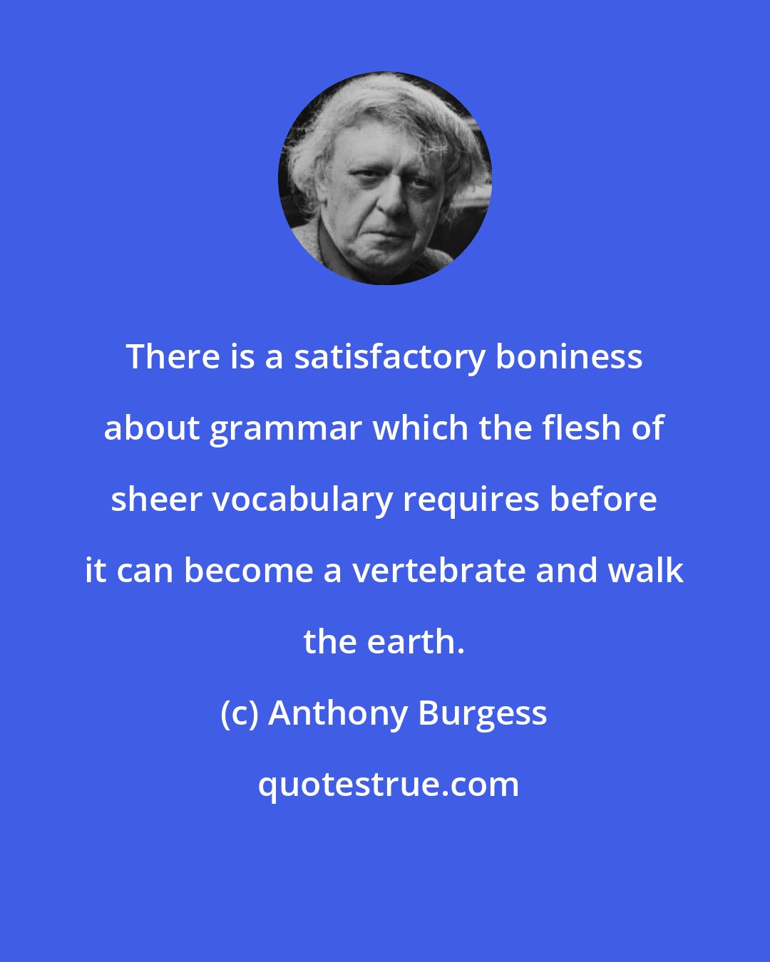 Anthony Burgess: There is a satisfactory boniness about grammar which the flesh of sheer vocabulary requires before it can become a vertebrate and walk the earth.
