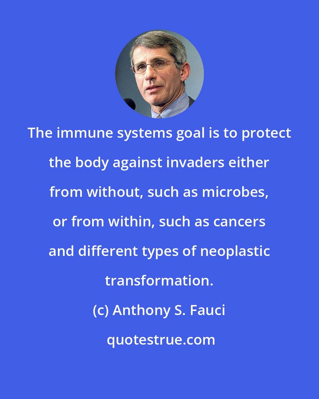 Anthony S. Fauci: The immune systems goal is to protect the body against invaders either from without, such as microbes, or from within, such as cancers and different types of neoplastic transformation.