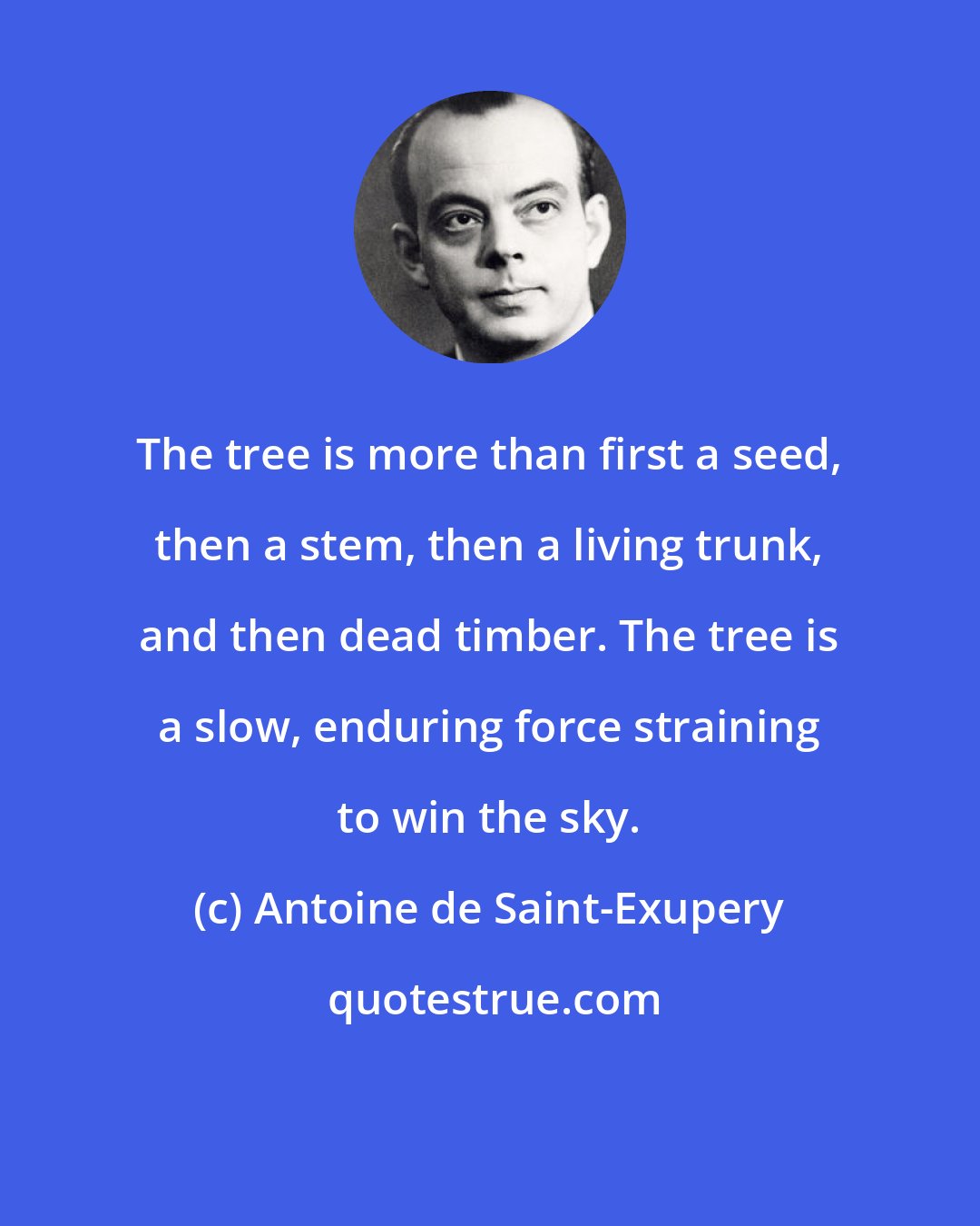 Antoine de Saint-Exupery: The tree is more than first a seed, then a stem, then a living trunk, and then dead timber. The tree is a slow, enduring force straining to win the sky.
