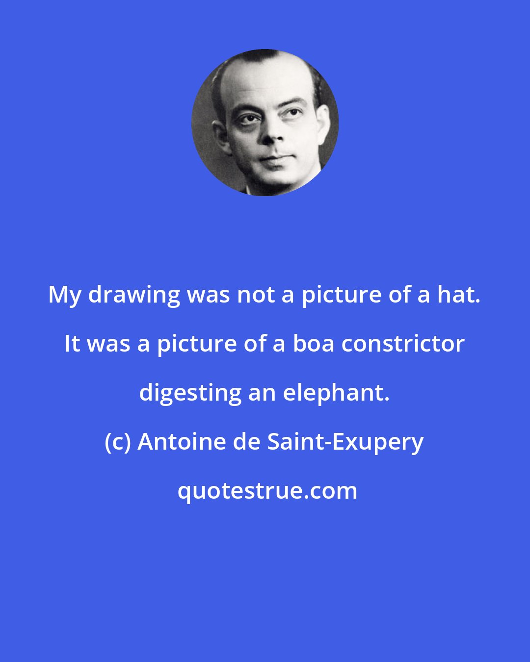 Antoine de Saint-Exupery: My drawing was not a picture of a hat. It was a picture of a boa constrictor digesting an elephant.