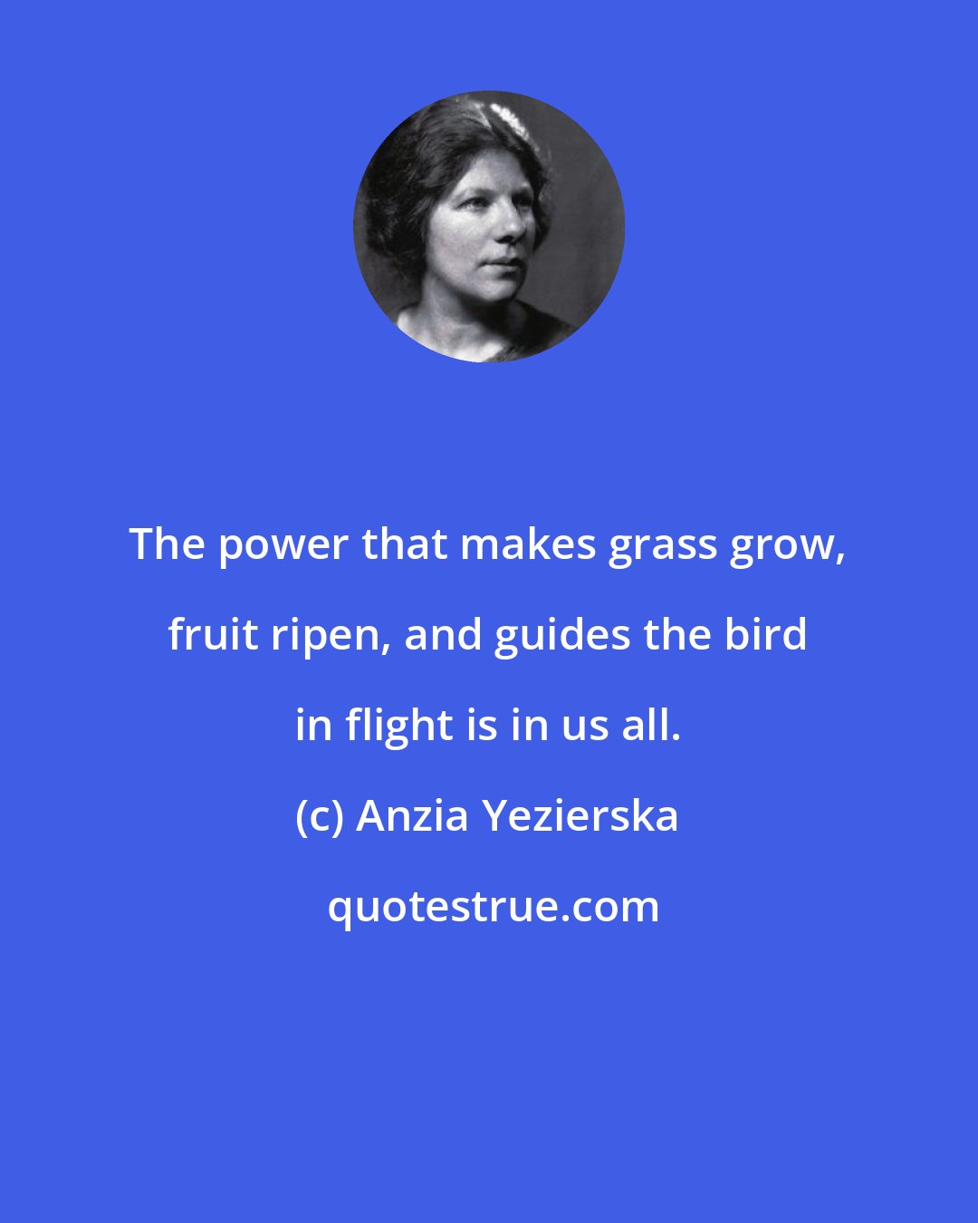 Anzia Yezierska: The power that makes grass grow, fruit ripen, and guides the bird in flight is in us all.