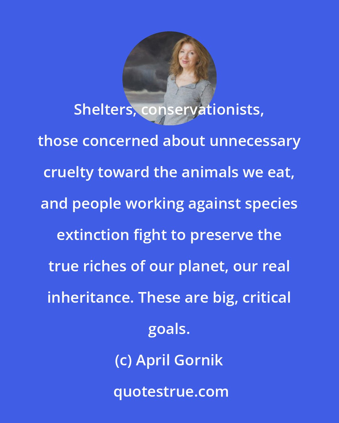 April Gornik: Shelters, conservationists, those concerned about unnecessary cruelty toward the animals we eat, and people working against species extinction fight to preserve the true riches of our planet, our real inheritance. These are big, critical goals.
