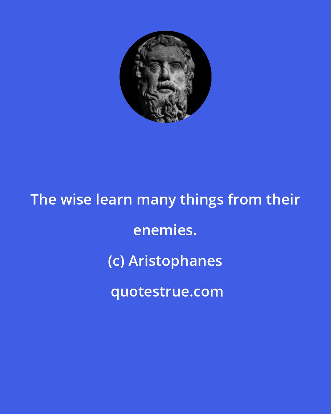 Aristophanes: The wise learn many things from their enemies.