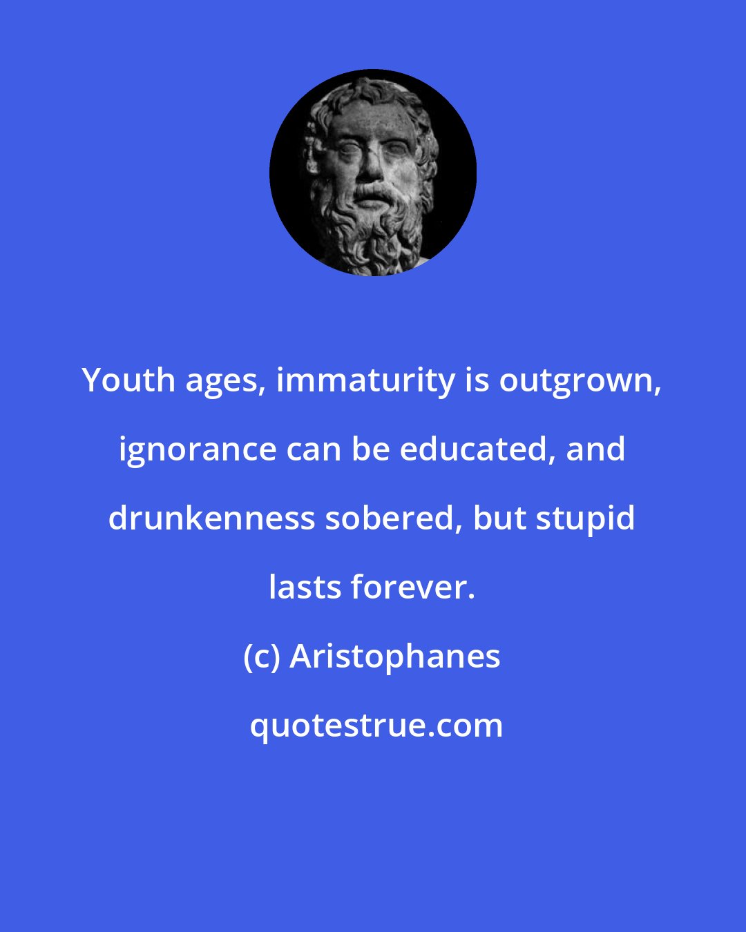 Aristophanes: Youth ages, immaturity is outgrown, ignorance can be educated, and drunkenness sobered, but stupid lasts forever.