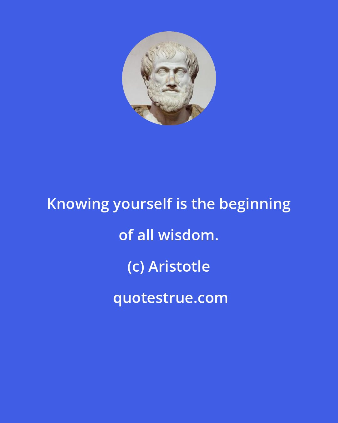 Aristotle: Knowing yourself is the beginning of all wisdom.