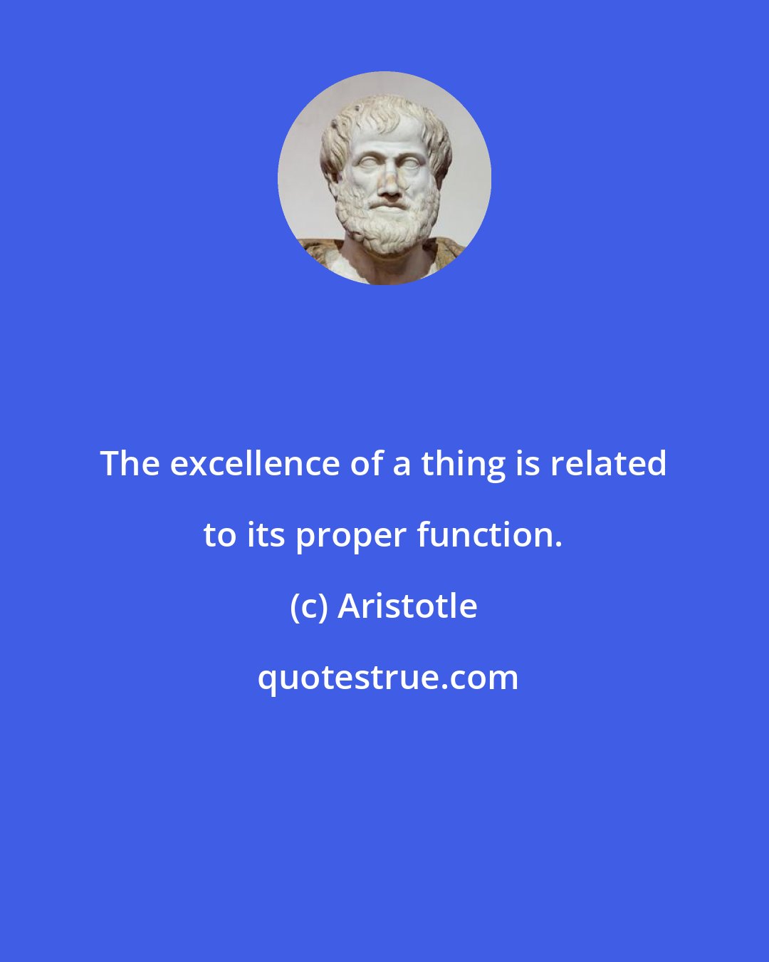 Aristotle: The excellence of a thing is related to its proper function.