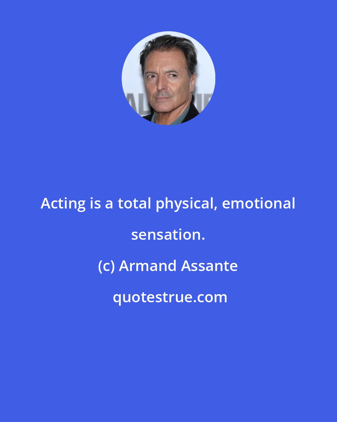 Armand Assante: Acting is a total physical, emotional sensation.