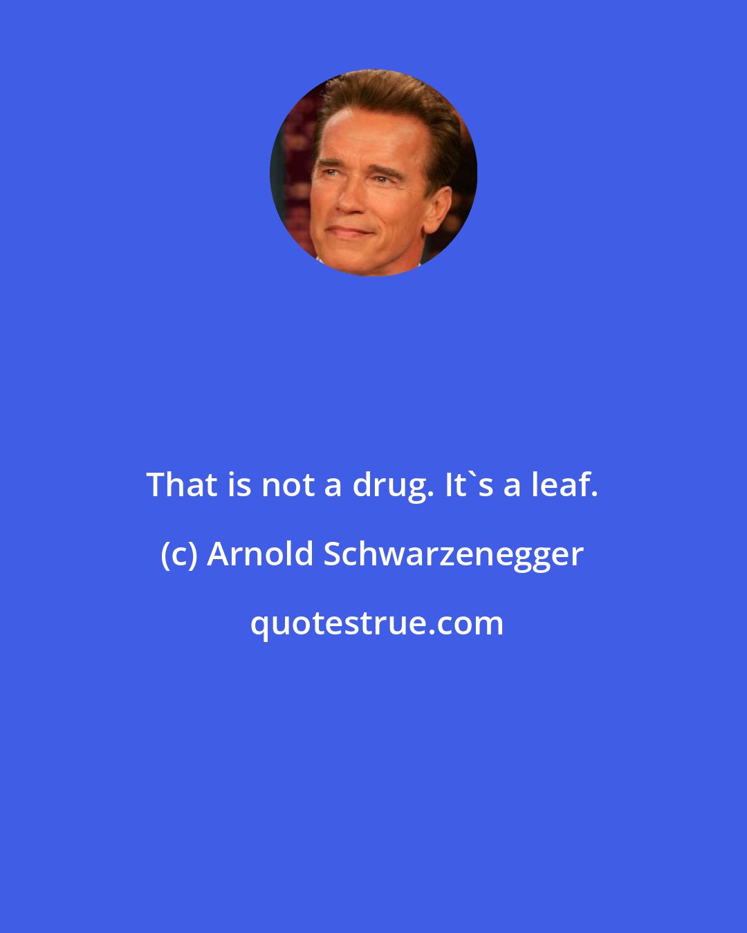 Arnold Schwarzenegger: That is not a drug. It's a leaf.