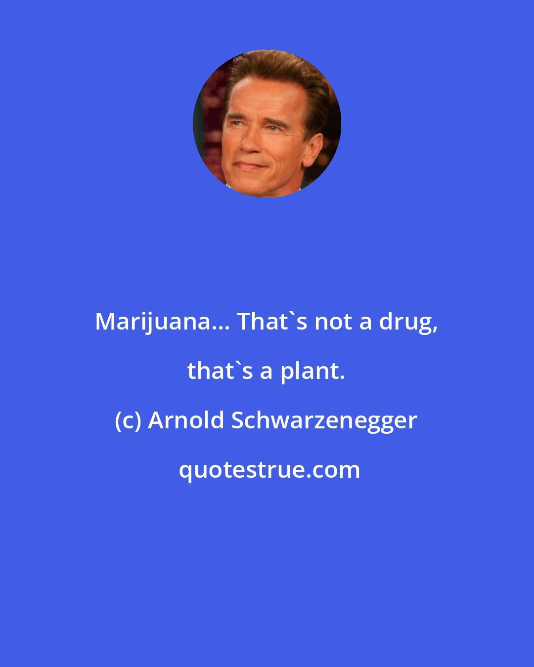 Arnold Schwarzenegger: Marijuana... That's not a drug, that's a plant.