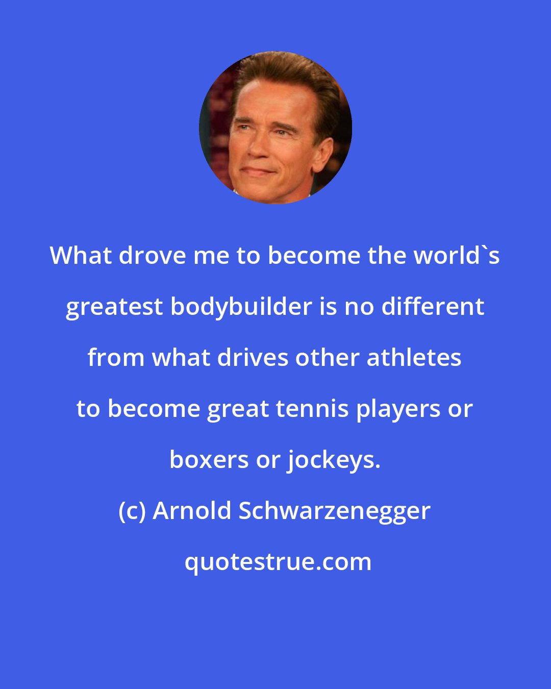 Arnold Schwarzenegger: What drove me to become the world's greatest bodybuilder is no different from what drives other athletes to become great tennis players or boxers or jockeys.