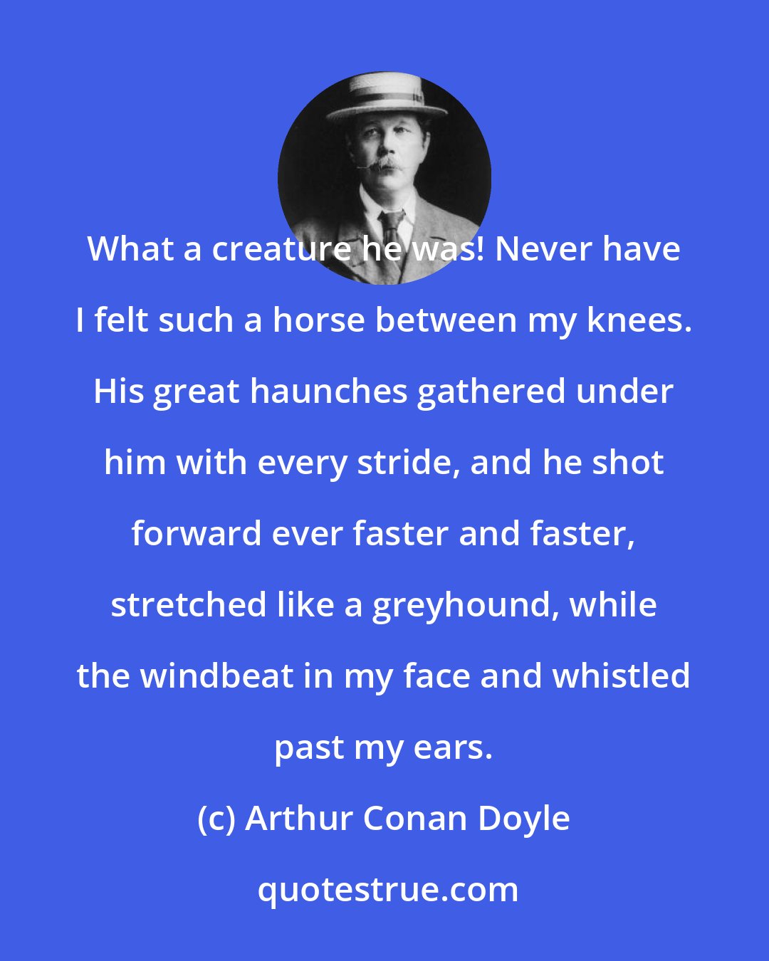 Arthur Conan Doyle: What a creature he was! Never have I felt such a horse between my knees. His great haunches gathered under him with every stride, and he shot forward ever faster and faster, stretched like a greyhound, while the windbeat in my face and whistled past my ears.