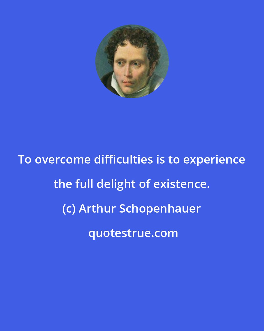 Arthur Schopenhauer: To overcome difficulties is to experience the full delight of existence.