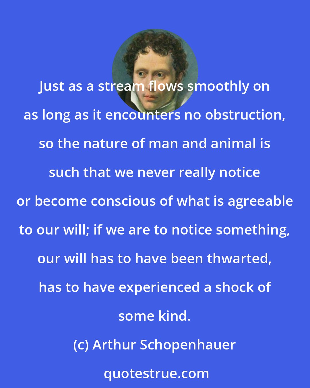 Arthur Schopenhauer: Just as a stream flows smoothly on as long as it encounters no obstruction, so the nature of man and animal is such that we never really notice or become conscious of what is agreeable to our will; if we are to notice something, our will has to have been thwarted, has to have experienced a shock of some kind.