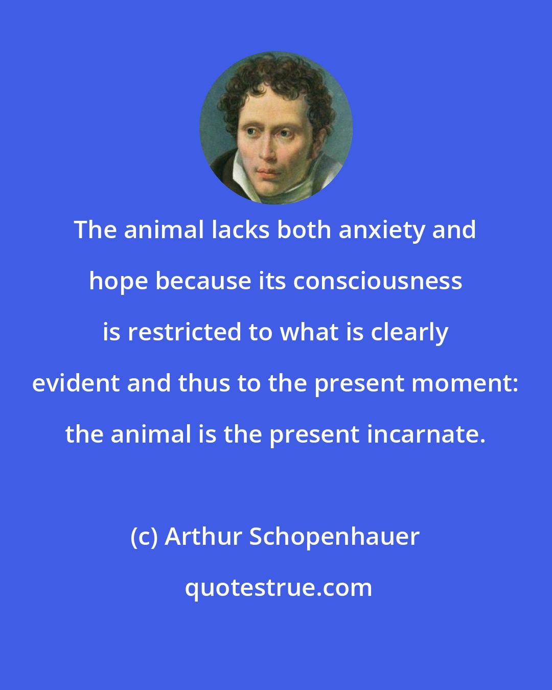 Arthur Schopenhauer: The animal lacks both anxiety and hope because its consciousness is restricted to what is clearly evident and thus to the present moment: the animal is the present incarnate.