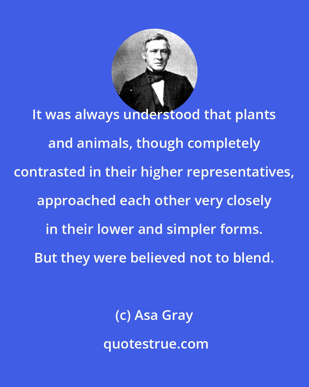 Asa Gray: It was always understood that plants and animals, though completely contrasted in their higher representatives, approached each other very closely in their lower and simpler forms. But they were believed not to blend.